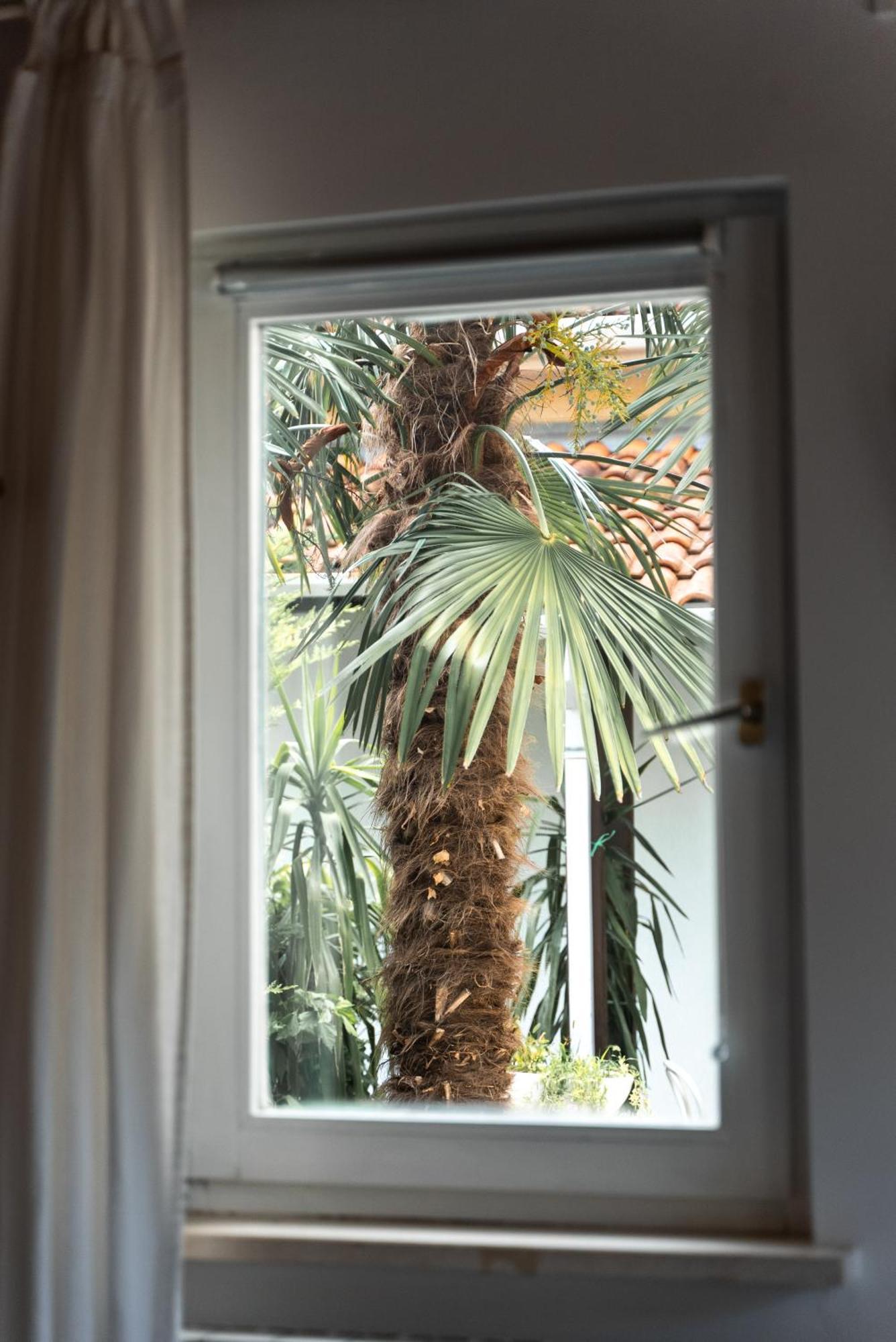 New Cosy Apartments With Private Parking Οπατία Εξωτερικό φωτογραφία